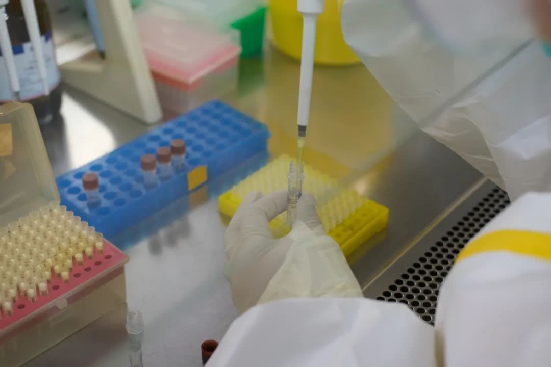 核酸檢測又降價！多地增設24小時檢測服務機構